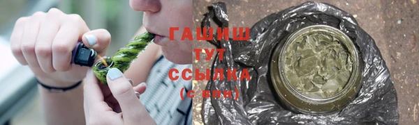 хмурый Алексин