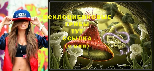 хмурый Алексин