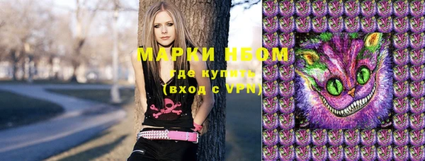 хмурый Алексин